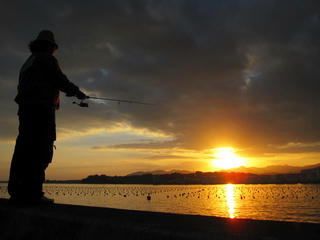 IMG_6495.jpg