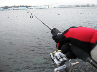 IMG_6799.jpg