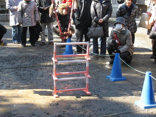 IMG_7005.jpg