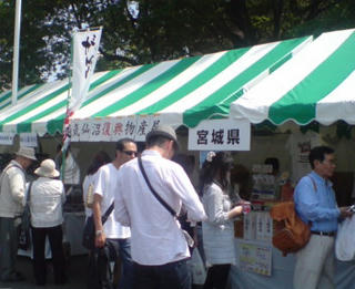 20110606080639.jpg