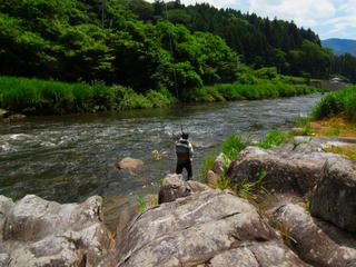0710ayu.jpg