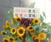 20110712080728.jpg