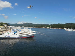 port_kesennuma.jpg