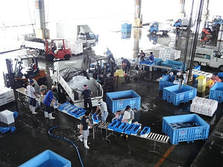 20110908014.jpg