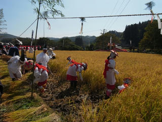 hata2.jpg