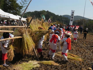 hata4.jpg