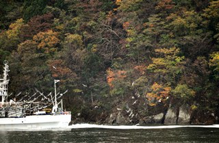 DSC_0267.JPG