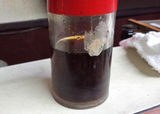 CA3F0371.jpg