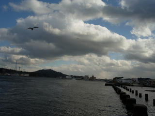 R0012598.jpg