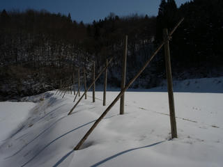R0012980.jpg
