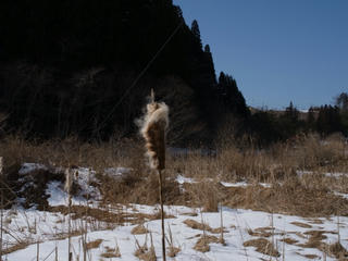 R0012978.jpg