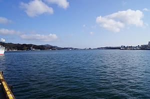 DSC06678.jpg
