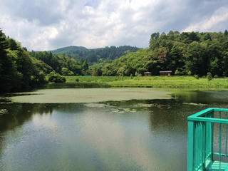 IMG_2978.jpg