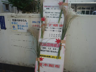 R0018247.jpg