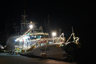 DSC09608.jpg