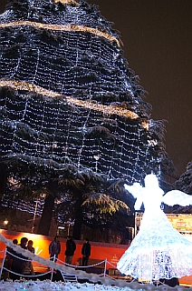 DSC09954.jpg
