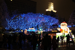 DSC09958.jpg