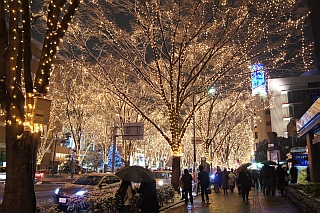 DSC09965.jpg