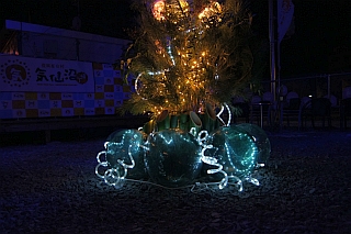 DSC09981.jpg