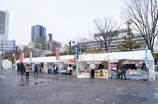 DSC02587.jpg