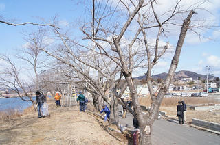 DSC03130.jpg