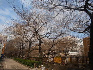 R0019080.jpg
