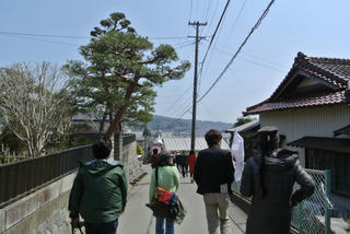 DSC_3879.jpg