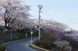 DSC04132.jpg