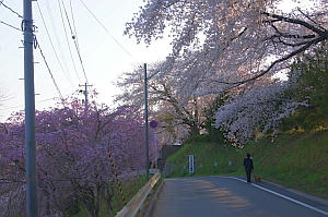DSC04151.jpg