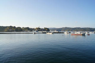 DSC06767.jpg