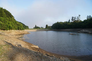 DSC07433.jpg