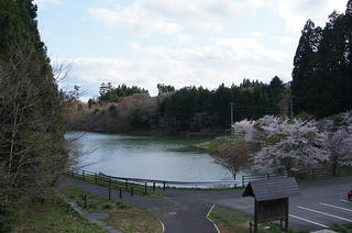 DSC04168.jpg