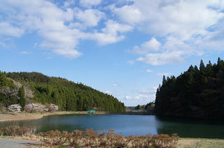 DSC04175.jpg