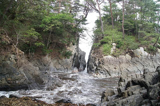 DSC08384.jpg