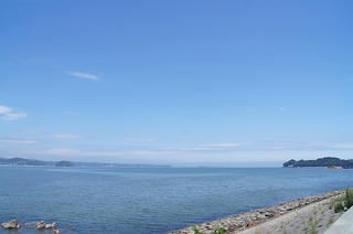 DSC08350.jpg
