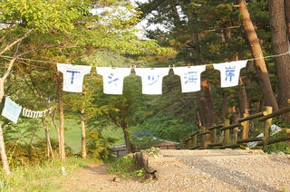 DSC08970.jpg