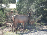southrim05.jpg