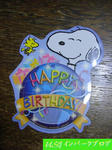 birthday2009.jpg