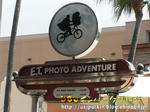 PICT5363-2.jpg