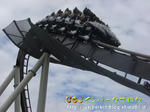 CIMG2093-2.jpg