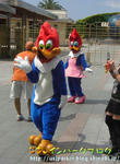 CIMG6896-2.jpg