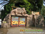 CIMG6999-2.jpg
