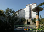 CIMG0438-2.jpg