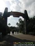 CIMG0973-2.jpg