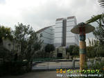 CIMG0978-2.jpg