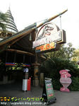 CIMG0985-2.jpg