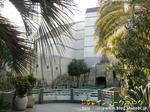 CIMG1124-2.jpg