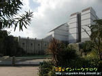CIMG0977-2.jpg