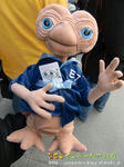 CIMG8851-2.jpg