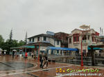CIMG0485-3.jpg